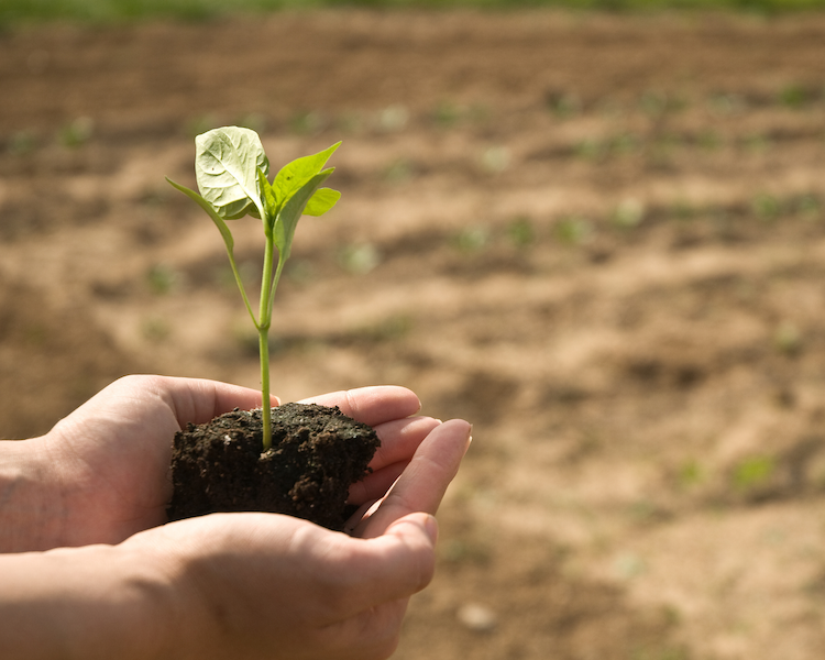 Grow Your Small Farming Business