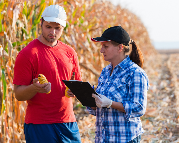 Specialized Bookkeeping for Farm Businesses